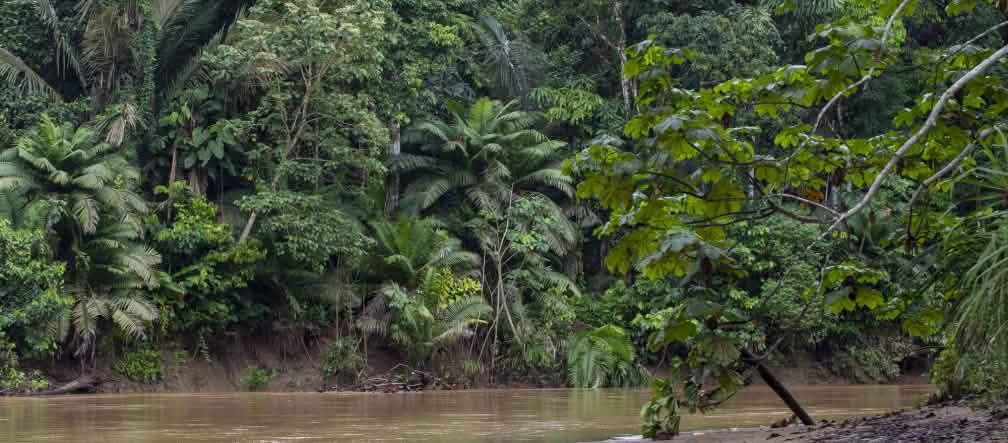 Defendamos el Yasuni