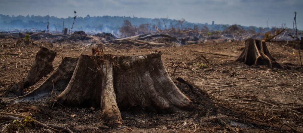 La deforestación es uno de los factores causantes de cambio climático Incendio en el río Xingu, en Brasil