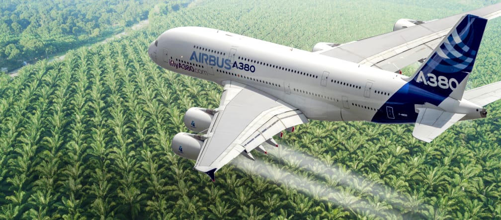 Montaje: avión Airbus sobre plantación de aceite de palma