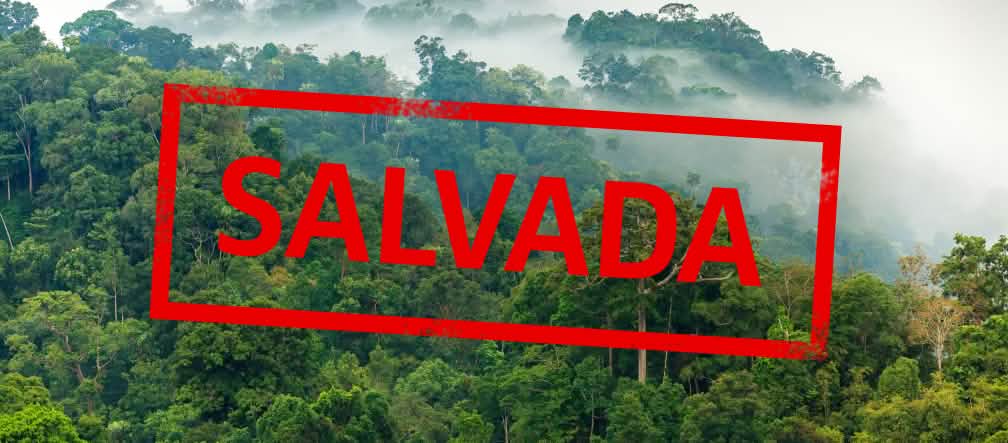 Esta selva está salvada por el momento Selva amazónica con la inscripción "salvada"