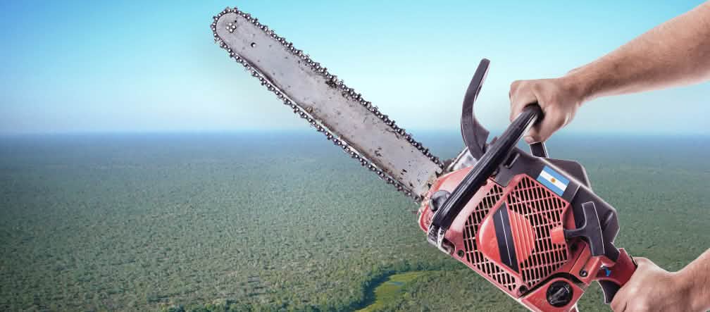 Fotomontaje: Motosierra en mano, al fondo se puede ver el paisaje característico del Gran Chaco Americano