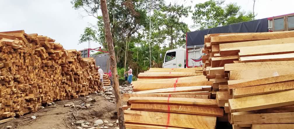 Madera de balsa apilada en la Amazonía, Ecuador
