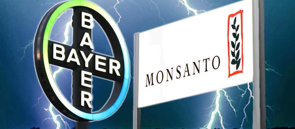 Monsanto es sinónimo de agrotóxicos y plantas genéticamente modificadas en los campos de cultivo