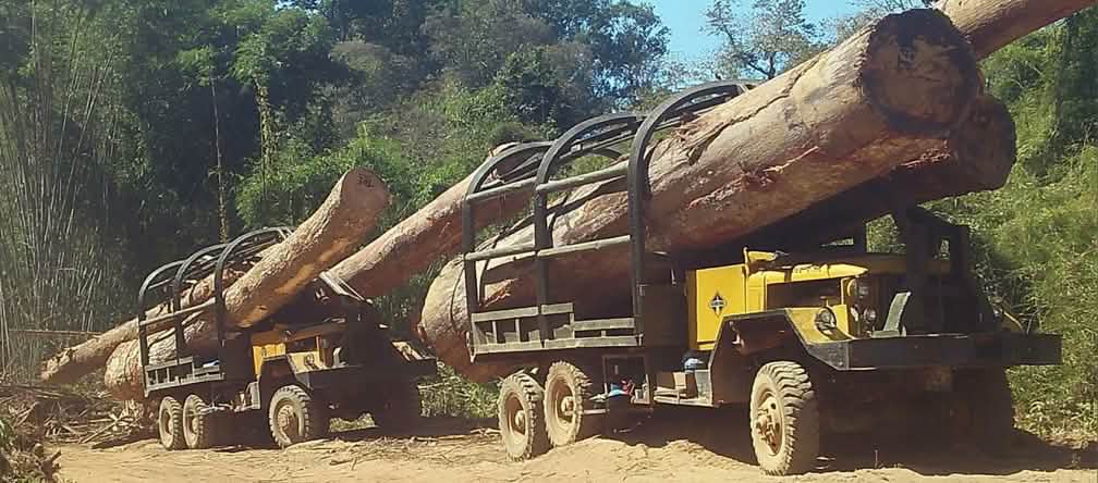 Contrabando de madera ilegal de Camboya a Vietnam Contrabando de madera en camión de Camboya a Vietnam