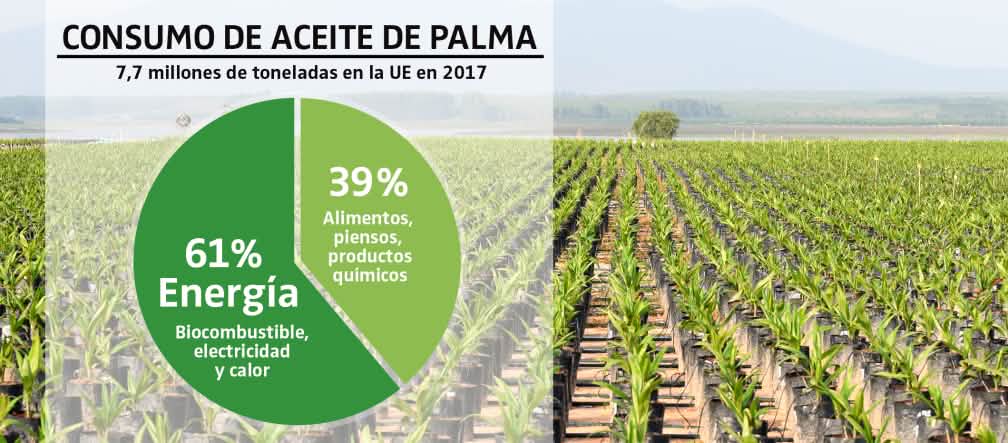 Gráfico - Uso de aceite de palma en la UE en 2017 / Fondo, plantación de palma aceitera
