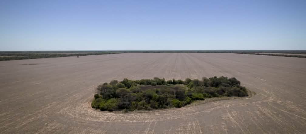 Una pequeña porción de bosque rodeada de deforestación masiva, lo que queda tras el paso de las topadoras