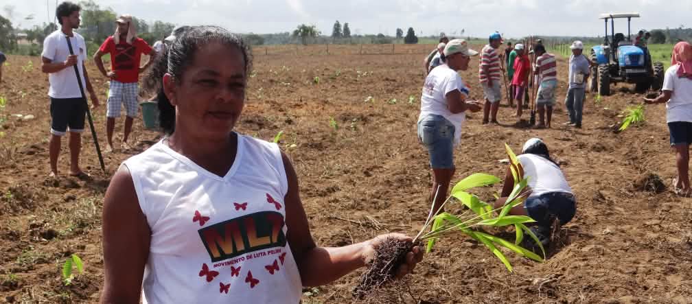 Una mujer sostiene una pequeña palma, mientras otras personas siembran otros árboles al fondo