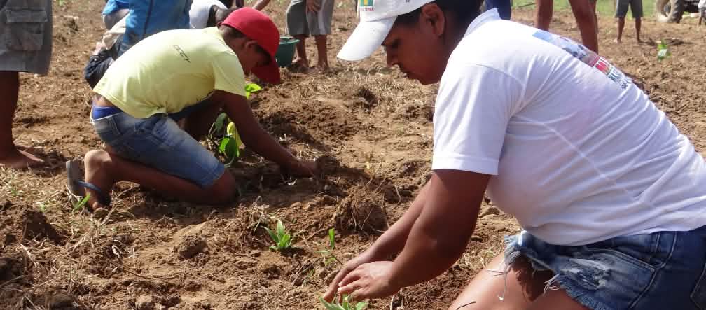 Unas 15 personas se encuentran trabajando la tierra y sembrando árboles en una gran superficie de tierra