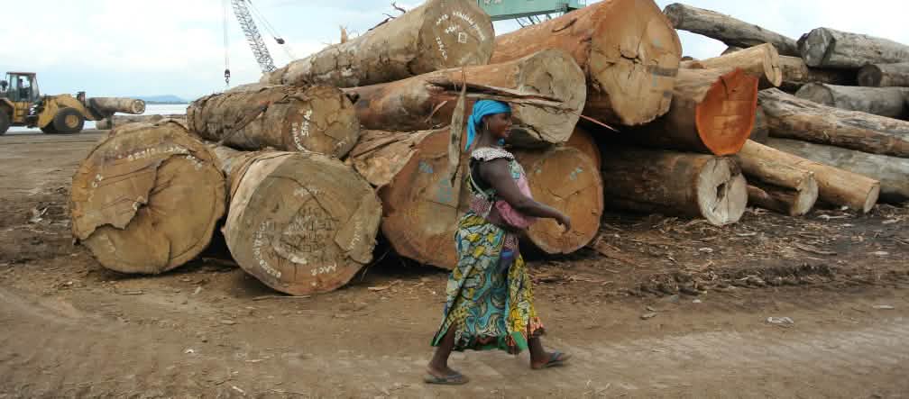 Troncos amontonados en el puerto de Kinshasa.