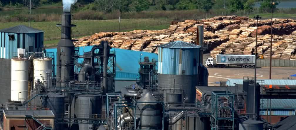 Fábrica de pulpa y papel