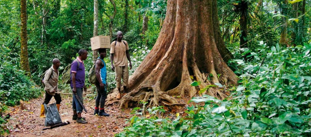 Eco guardias en la selva en Nigeria