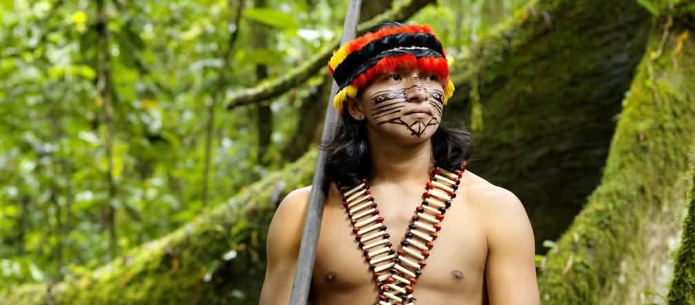 Indígena, Amazonía