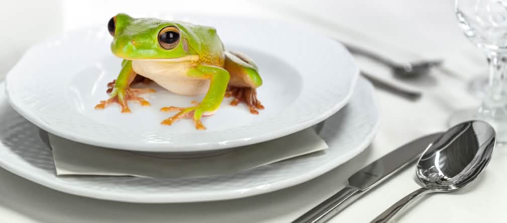 Rana en un plato