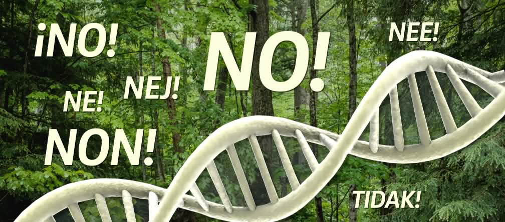 Castaños manipulados genéticamente amenazan la naturaleza ADN en el bosque