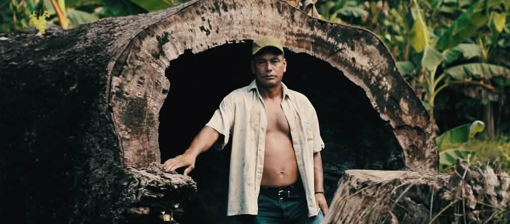 Hernán Bedoya, Colombia