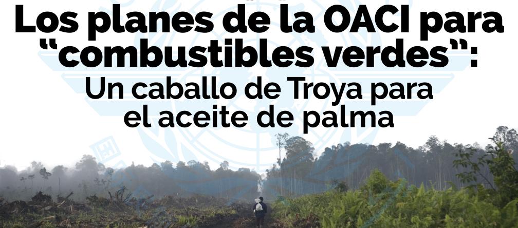 Los planes de OACI de biocombustibles a base de aceite de palma para la aviación