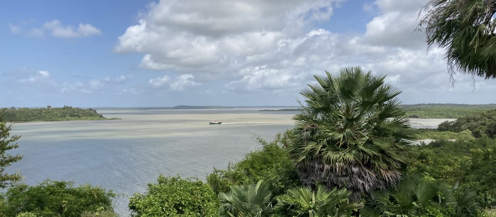 Vista de una bahía con vegetación en primer plano y nubes blancas en el cielo