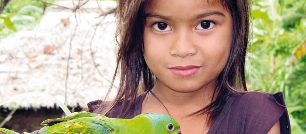 Palma aceitera y minería amenazan a la población y a la biodiversidad