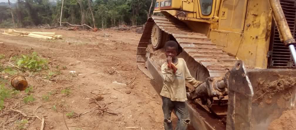 Bulldozer, Nigeria