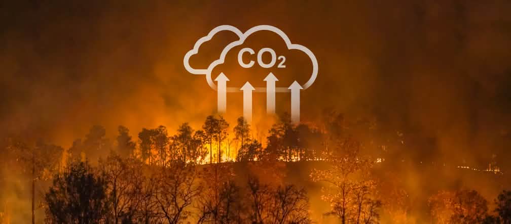 Incendio forestal con un gráfico superpuesto que indica el desprendimiento de CO2