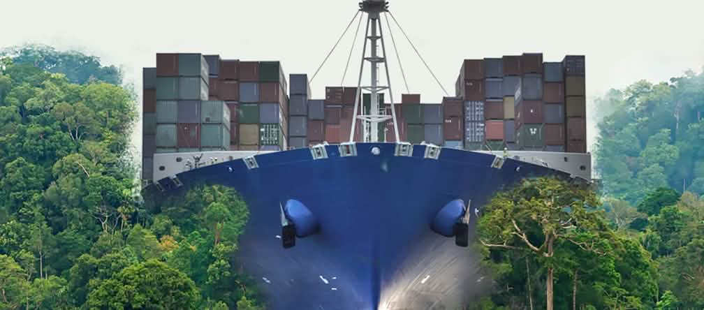 Destrucción masiva de la naturaleza para agilizar el libre comercio global Nicaragua barco a través de la selva