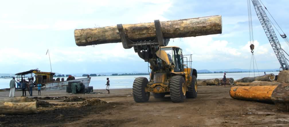 Carga de madera en el puerto de Kinshasa