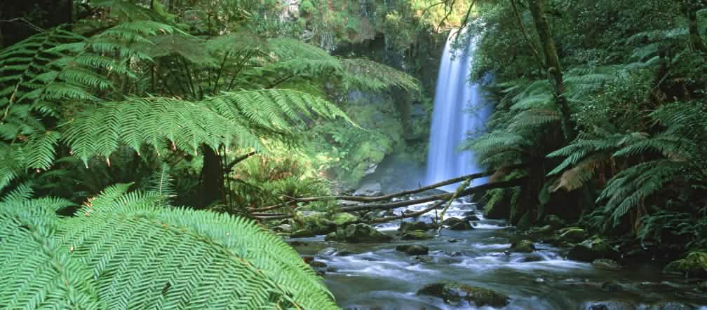 Cascada