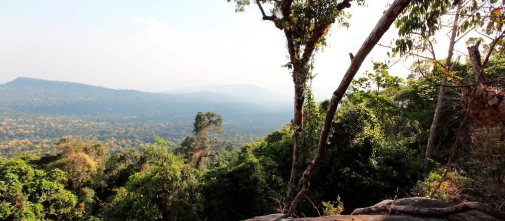 Así debe conservarse: la selva hasta el horizonte (Foto: Luke Duggleby)