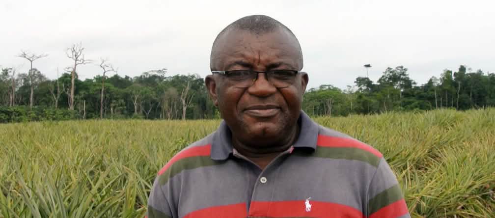 Odey Oyama se opone a las plantaciones de piña en el Parque Nacional Cross River Odey Oyama en una plantación de piña / ananá en el Parque Nacional Cross River en Nigeria