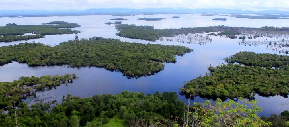 Paisaje de Manglar