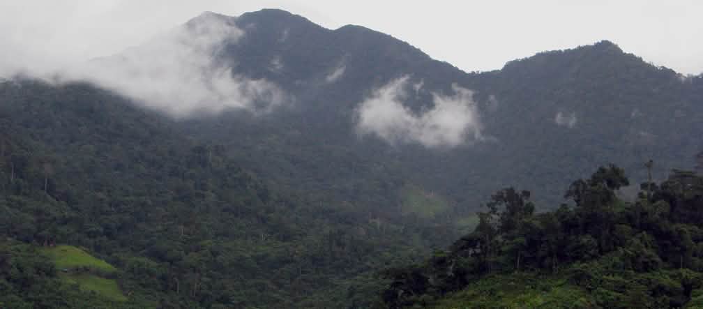 Paisaje montañoso en el que se pueden ver las cumbres cubiertas de densos bosques