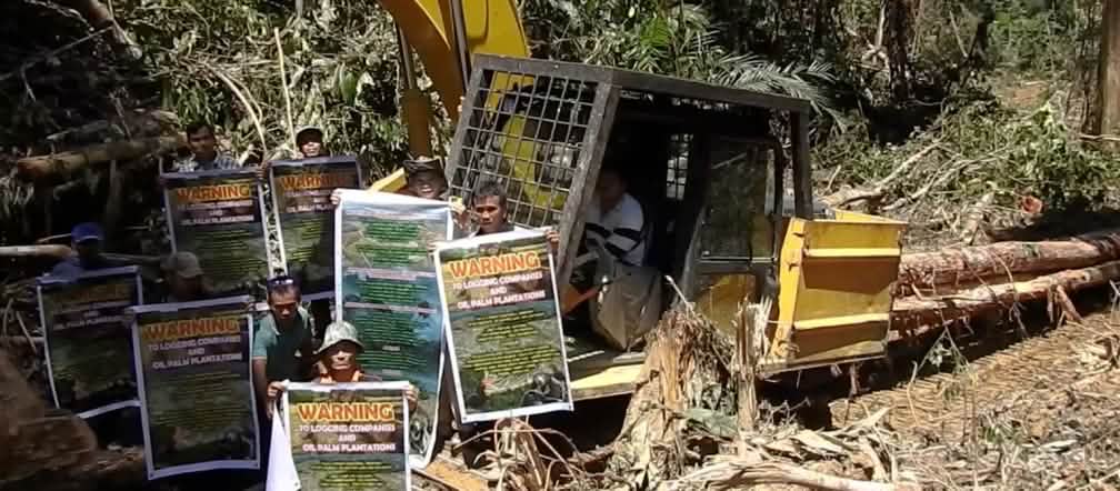 Denuncian deforestación para el cultivo de palma aceitera en el estado de Sarawak, Malasia