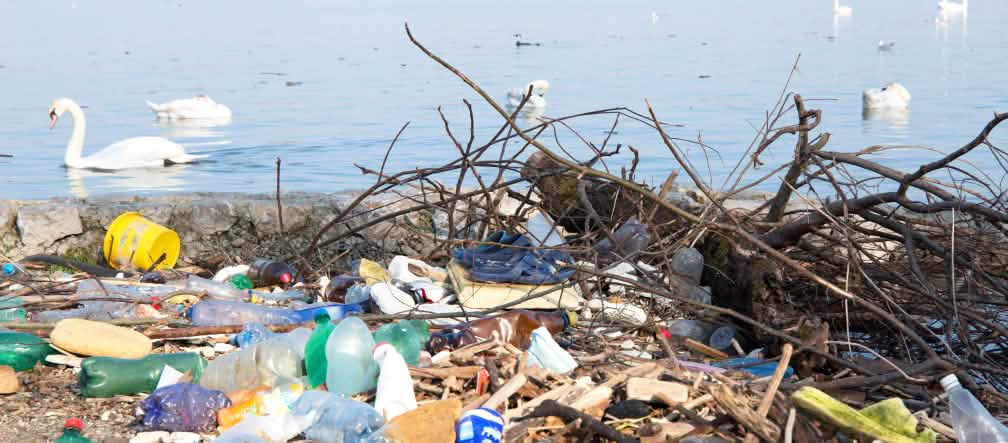 Basura de plástico a orillas del Danubio Basura de plástico junto al río y cisnes en el fondo