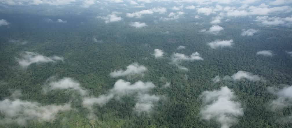 Vista aérea con nubes sobre la densa selva tropical