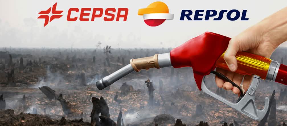España: el aceite de palma para biocombustible destruye la selva