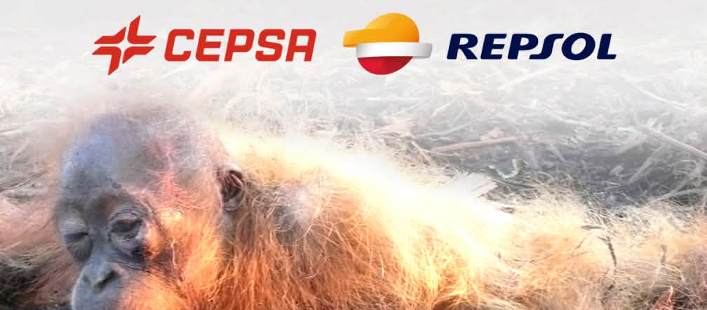 Orangután en agonía, con logos Repsol y Cepsa