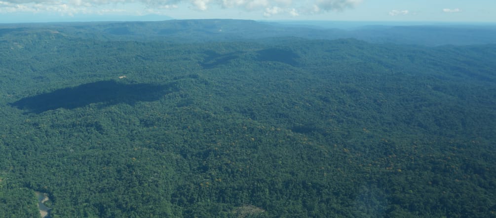 Vista aérea del territorio indígena Sapara en la Amazonía, Ecuador