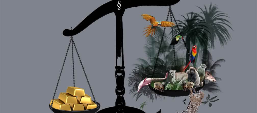 Balanza en la que se sopesa el oro frente a la selva, la cual sale perdiendo