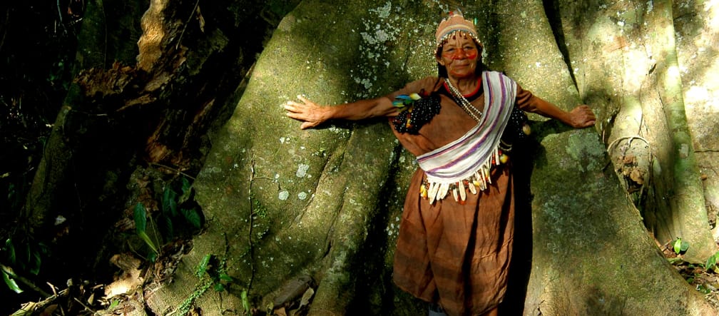 Guardiana de la selva