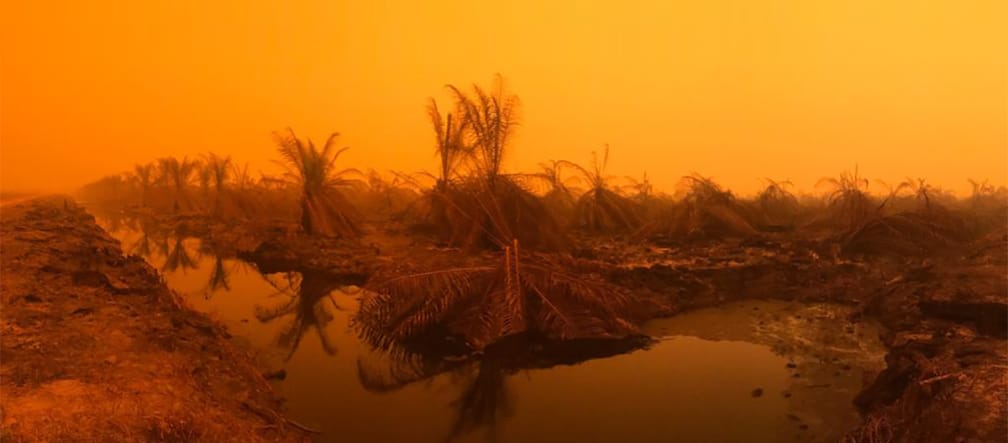 Incendio en la comunidad Puding, distrito Muaro Jambi, Sumatra, Septiembre 2019