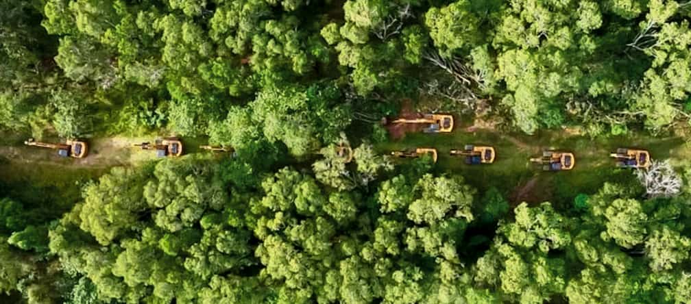 Foto tomada desde un dron de una larga fila de excavadoras que circulan por un camino en el bosque tropical