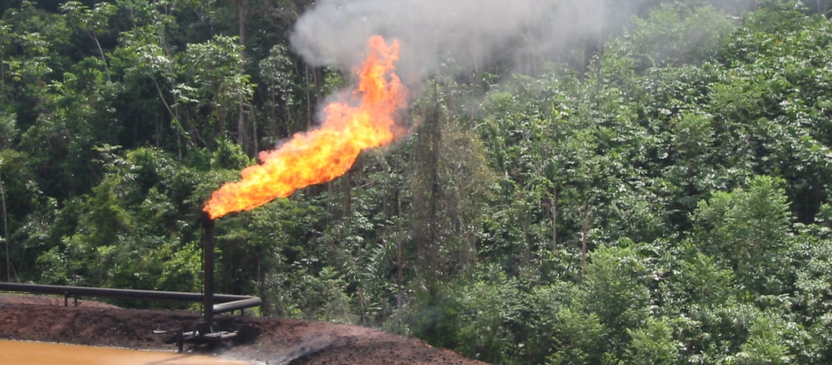 Degradación del medio ambiente debido a la producción de petróleo en Ecuador