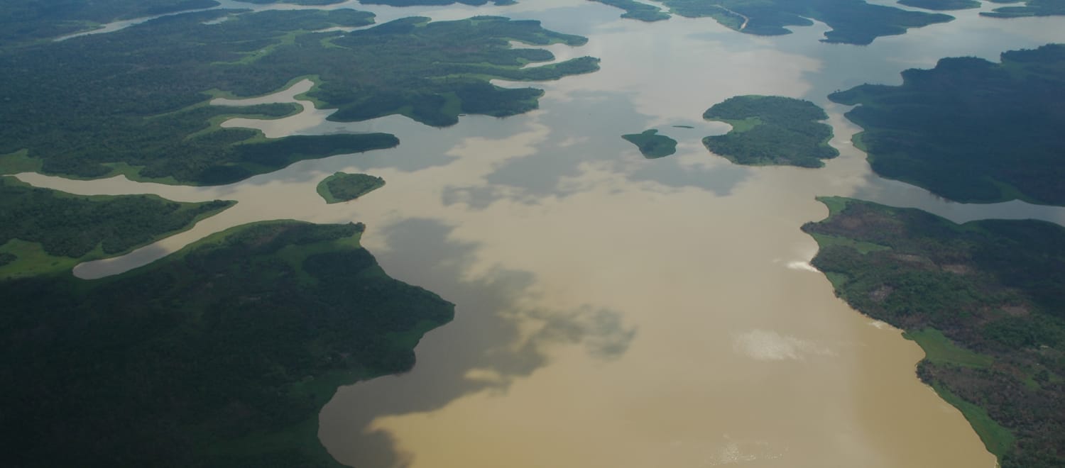 Vista aérea de la selva amazónica