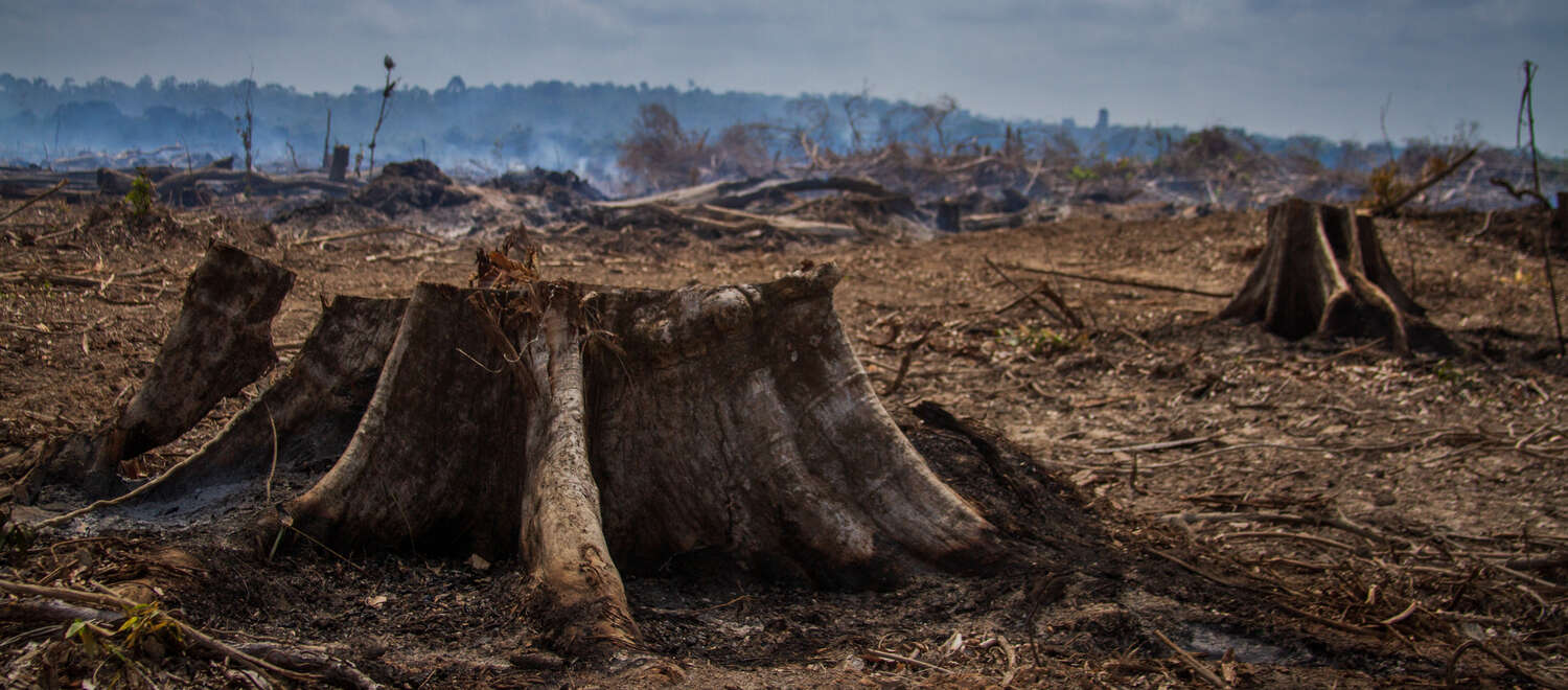 Incendio en el río Xingu, en Brasil