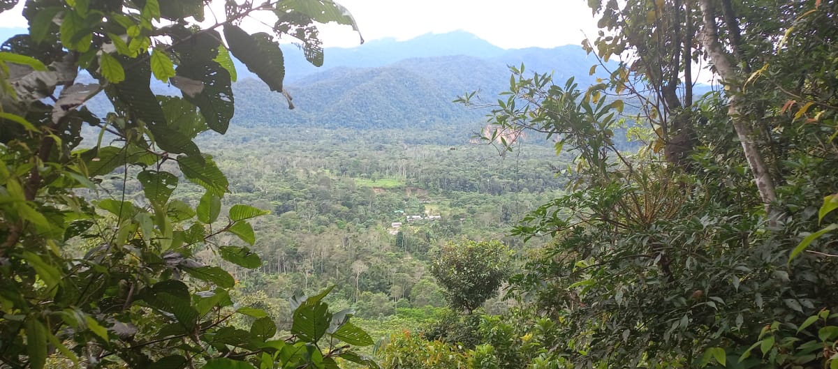 Panorámica del Alto Napo, se ve una llanura de la selva amazónica y al fondo las montañas