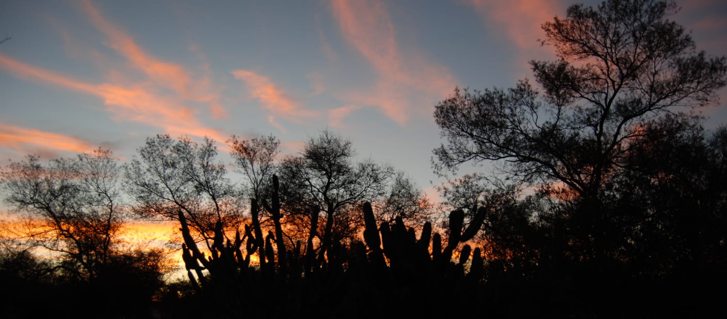 Chaco seco en Paraguay