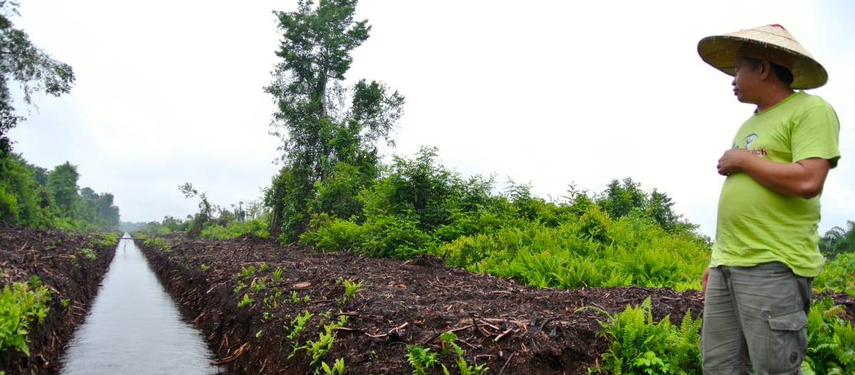 Matek Geram, ecologista malasio, delante de un extenso canal de drenaje que atraviesa una turbera en Sarawak