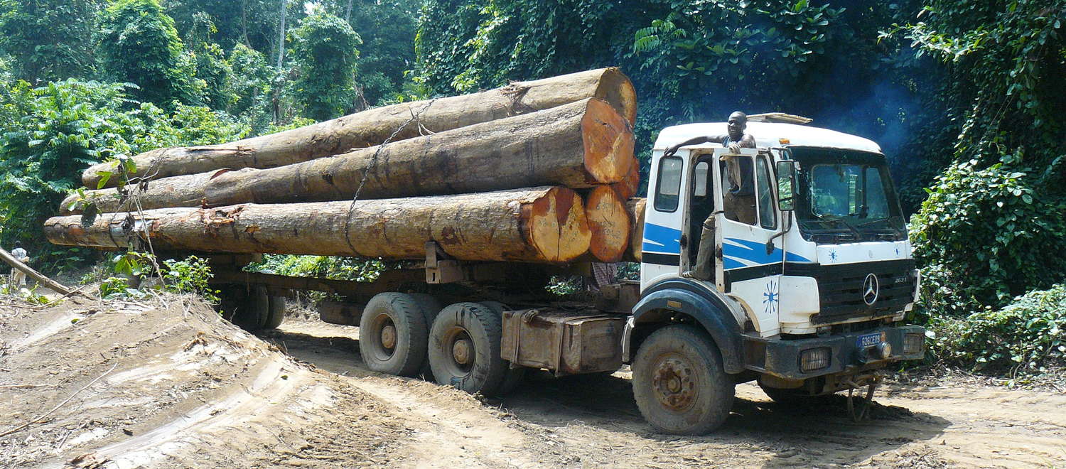 Camión cargado de madera