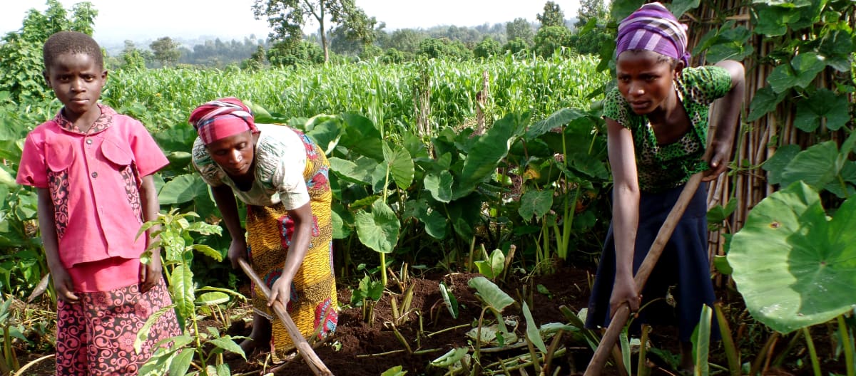 Produciendo los propios alimentos en Virunga