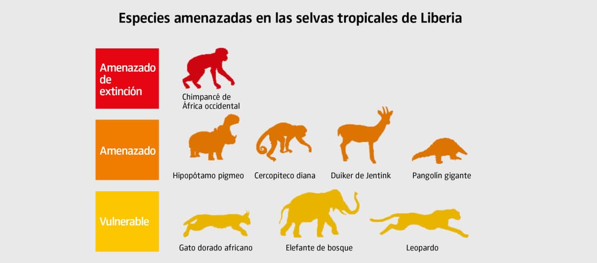 Gráfico de especies animales en peligro de extinción en Liberia